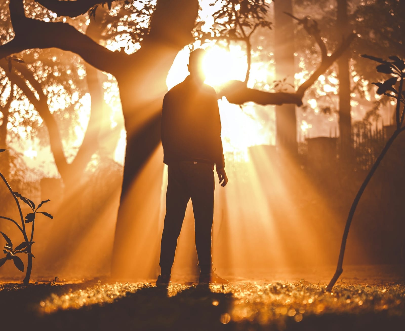 Sólo hay una causa y esa es La Conciencia