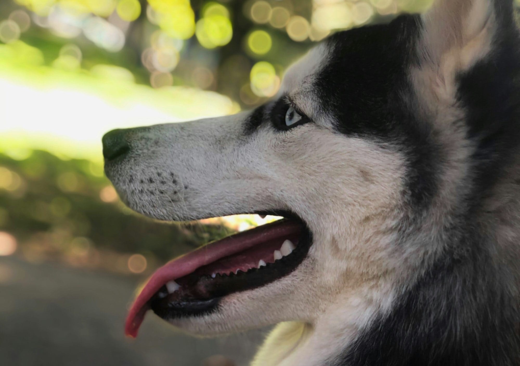 Tu única responsabilidad es permanecer fiel